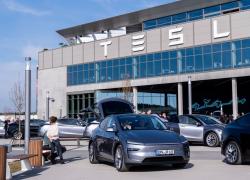 Vendite Tesla Italia 2024, 15.641 auto acquistate, -5,5% sul 2023, gamma di modelli datata e prezzi troppo alti