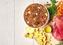 Real Bowl, il cibo fresco che aiuta i cani con dermatite: naturale, digeribile e adatta anche alle pelli sensibili