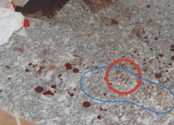 Garlasco, "trovate tracce del secondo assassino: l'impronta di una scarpa nel sangue e una strisciata mai analizzate dai Ris"