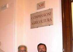 Granchio Blu, Mirco Carloni (Pres. Comm. Agricoltura): “Più fondi per Regioni colpite. Vicino a cuore produttivo italiano”

