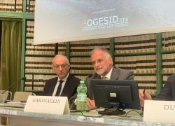 1 ° Rapporto Sogesid. Garavaglia (Commissione Finanze Senato): "Importante valore aggiunto per il sistema pubblico"