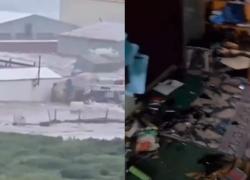 Terremoto di magnitudo 8.8 in Kamchatka, allerta tsunami in Giappone, Russia e ovest Usa, onde oltre 4 metri - VIDEO