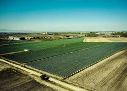 UniCredit e MCC, sottoscritto minibond ESG-linked da €10 milioni per O.P. Natura Dauna a sostegno di nuovi investimenti