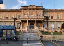 Sanremo, cinquantenne ritorna dal Bangladesh con il virus Chikungunya, l'Asl1 rassicura la popolazione