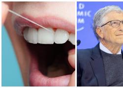 Vaccino tramite filo interdentale creato da scienziato Rohan SJ Ingrole e "finanziato da Bill Gates", primi esperimenti su 50 topi