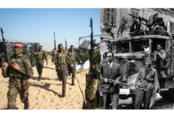 La resistenza armata nei Territori Occupati: dal precedente della Resistenza italiana al caso palestinese; cosa afferma e stabilisce il diritto internazionale