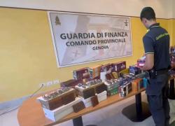 Genova, in negozio falsi orologi Rolex e scarpe della Nike, blitz della guardia di finanza in quattro negozi