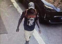 Roma, stupro di una 60enne al parco Tor Tre Teste, arrestato 26enne gambiano: "Ero drogato e fatto di crack", Salvini: "Castrazione chimica"