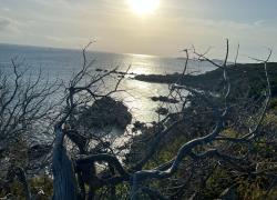 Propaganda e menzogne di guerra: da Cartagine a Gaza e Ucraina, la lunga storia dei nemici inventati