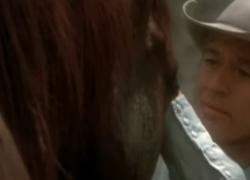 Robert Redford nel film "L'uomo che sussurrava ai cavalli" del 1998 accanto a una giovanissima Scarlett Johansson: trama e trailer - VIDEO