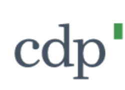 CDP, approvati interventi da € 230 milioni per imprese strategiche e progetti sostenibili in Italia e nei mercati internazionali 
