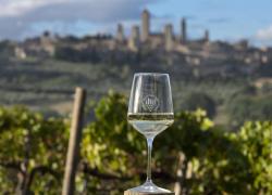 Vino, la Vernaccia di San Gimignano vince la battaglia in Spagna contro il Marchio Varnacia 1321: Un risultato fondamentale per la tutela del “vino di Dante Alighieri” 