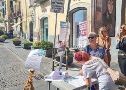 Napoli, mille firme contro gli eventi a pagamento: "piazza Plebiscito ostaggio del business dei concerti"