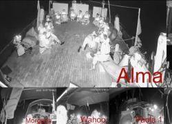 Global Sumud Flotilla, Turchia apre indagine contro Israele per abbordaggio a imbarcazioni e detenzione illegale di suoi 24 cittadini