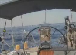 Marinette, l'ultima nave della Flotilla abbordata da Israele a 42,5 miglia da Gaza, bandiera polacca ed equipaggio turco di 6 persone - VIDEO