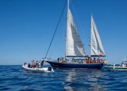 Flotilla, rimpatrio per 26 italiani, gli altri 15 espulsi settimana prossima, attivisti denunciano Israele per detenzione illegale
