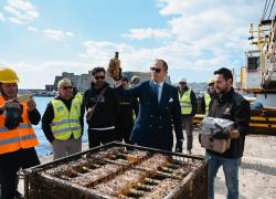 Una storica distilleria campana prima azienda al mondo ad aver sottoposto partite di bottiglie di liquore ad affinamento subacqueo