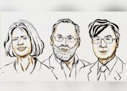 Premio Nobel per la Medicina 2025 a Mary Brunkow, Fred Ramsdell e Shimon Sakaguchi per studi sul sistema immunitario