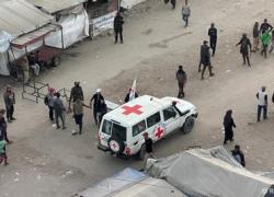 Gaza, rilasciati i 20 ostaggi israeliani in mano a Hamas, attesa liberazione 1966 prigionieri palestinesi, Trump a Tel Aviv - VIDEO