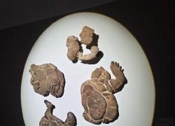 Premio Cairo 2025, il vincitore della 24esima edizione è Maria Giovanna Zanella con l’opera “Buoni”, realizzata con pane cotto a legna