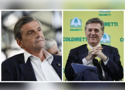 Scontro Calenda-Cattaneo (Enel) su ricavi dell'azienda, il primo: "Fate più utili di Hermès", il ceo: "Vai a lavorare", e annuncia querela - VIDEO