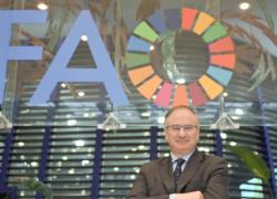 Gaza, Tajani nomina Bruno Archi “inviato speciale per la ricostruzione”: chi è l’ambasciatore Onu coinvolto nel progetto biennale per la Striscia