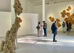 Corner MAXXI, prima personale in Italia di Chris Soal dal 19 ottobre al 27 novembre