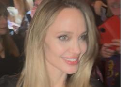20° ROMA FILM FEST, "COUTURE": ANGELINA JOLIE e il tumore al seno, "un male che non cancella la femminilità"; dal Red Carpet: "Come mai non aiutiamo la gente di Gaza?"-VIDEO