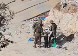 Cisgiordania, continuano violenze Idf: 2 bambini palestinesi aggrediti a sud di Hebron, a Gaza colpito minibus, 11 morti, in corso raid su Rafah – VIDEO