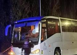 Sassi contro pullman Pistoia, pm su morte autista: "È omicidio volontario", 12 identificati, verso stop al campionato A2 di basket