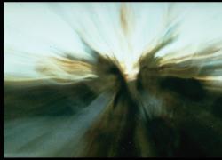 La Coscienza Olografica e la Rivelazione Spirituale di Shri Mataji Nirmala Devi 