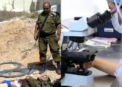 Israele "estrae sperma dai cadaveri dei soldati per permettere l'inseminazione artificiale e la prosecuzione delle famiglie, boom dal 7 ottobre 2023"