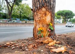 Incidente sulla Colombo a Roma, individuato il conducente dell'altra Bmw: "Non mi sono accorto di nulla, non stavamo gareggiando"