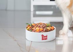 Real Bowl propone una dieta sana e  personalizzata per ogni animale domestico che arriva direttamente a casa 