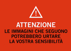 Israele, Ben Gvir mostra prigionieri palestinesi ammanettati faccia a terra, la frase choc: "Per loro pena di morte, vanno giustiziati" - VIDEO