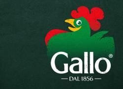 Riso Gallo presenta il Report di Sostenibilità, un percorso concreto di innovazione e valore condiviso lungo tutta la filiera risicola