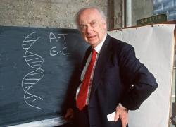 Addio a James Watson, morto a 97 anni “dopo ricovero per un’infezione” il Premio Nobel per la scoperta della struttura a doppia elica del DNA