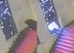 Roma, assessore Emanuele Cani scivola e sfonda la vetrata al Mimit realizzata da Sironi nel 1932, 'danno da decine di mln di euro' - Il VIDEO della caduta