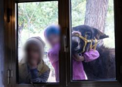 Famiglia che vive nel bosco a Chieti, lanciata petizione dopo allontanamento 3 bambini dai genitori, Salvini: “Riportateli da mamma e papà”