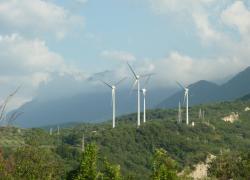 Famiglia nel bosco di Palmoli a Chieti, nel 2024 il progetto per costruzione di un “parco eolico”: 11 torri da 180m con pale da 6MW ciascuna