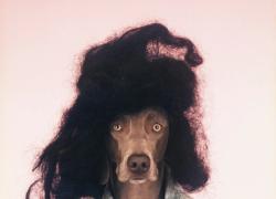 MIA PHOTO FAIR BNP Paribas 2026 celebra a Milano la 15ª edizione con 80.000 euro in premi, una preview riservata il 18 marzo e un nuovo focus sul tema Metamorfosi