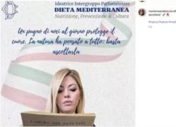 Maria Rosaria Boccia diffidata da Camera dei Deputati, logo Montecitorio usato illecitamente “per promuovere diete e chirurgia estetica sui social”