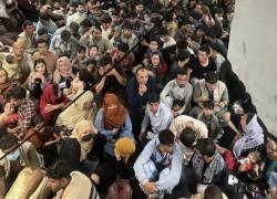 Attentato Usa, amministrazione Trump verso riesame green card stranieri di 19 Paesi, tycoon: "Stop definitivo a immigrazione da Paesi terzomondisti"