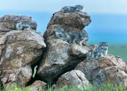 “La natura in mostra”: la fotografia selvatica e selvaggia conquista Milano dal 15 novembre 2025 al 25 gennaio 2026