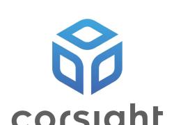 Carabinieri, al via utilizzo software spyware israeliano Corsight testato per riconoscimento facciale palestinesi durante genocidio Gaza