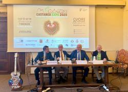 Castanea Expo 2025, alla Fortezza da Basso di Firenze dal 12 al 14 dicembre la prima fiera nazionale della castanicoltura, prodotto ecosostenibile per definizione 