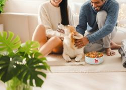 Real Bowl e la dieta monoproteica, una sola fonte proteica per gestione di intolleranze, diagnosi alimentari e digestione controllata