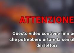 Cisgiordania, asino rubato, accoltellato, lapidato e impiccato da coloni israeliani ad un bimbo palestinese di Al-Ma'azi - VIDEO