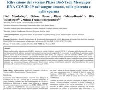 Vaccino Covid Pfizer, individuate tracce di mRna siero in sangue, sperma e placenta anche dopo 200 giorni da inoculazione - lo STUDIO israeliano