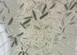 Poesia , memoria e sospensione: quelle dell'installazione di Chiharu Shiota al Mudec di Milano